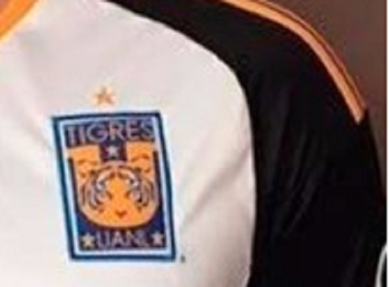 El escudo de Tigres tendrá modificaciones para el siguiente torneo