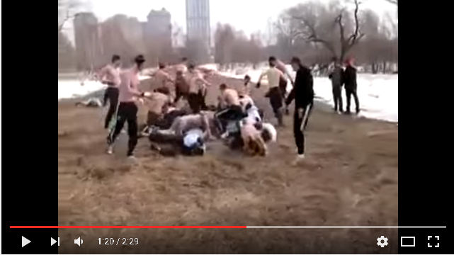 Difícil de creer, ultras rusos entrenaron para sus actos violentos de la Euro (Videos)
