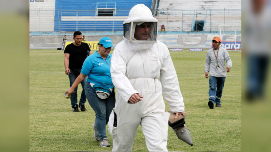 Invasión de abejas obliga a suspender un partido de futbol en Ecuador (video)