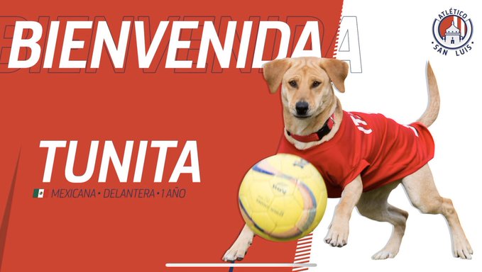 Atlético de San Luis presentó a ‘Tunita’ como su nueva incorporación
