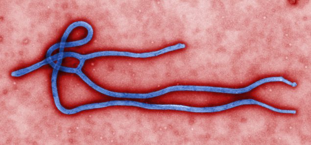 Registran nuevo brote de ébola en RDC
