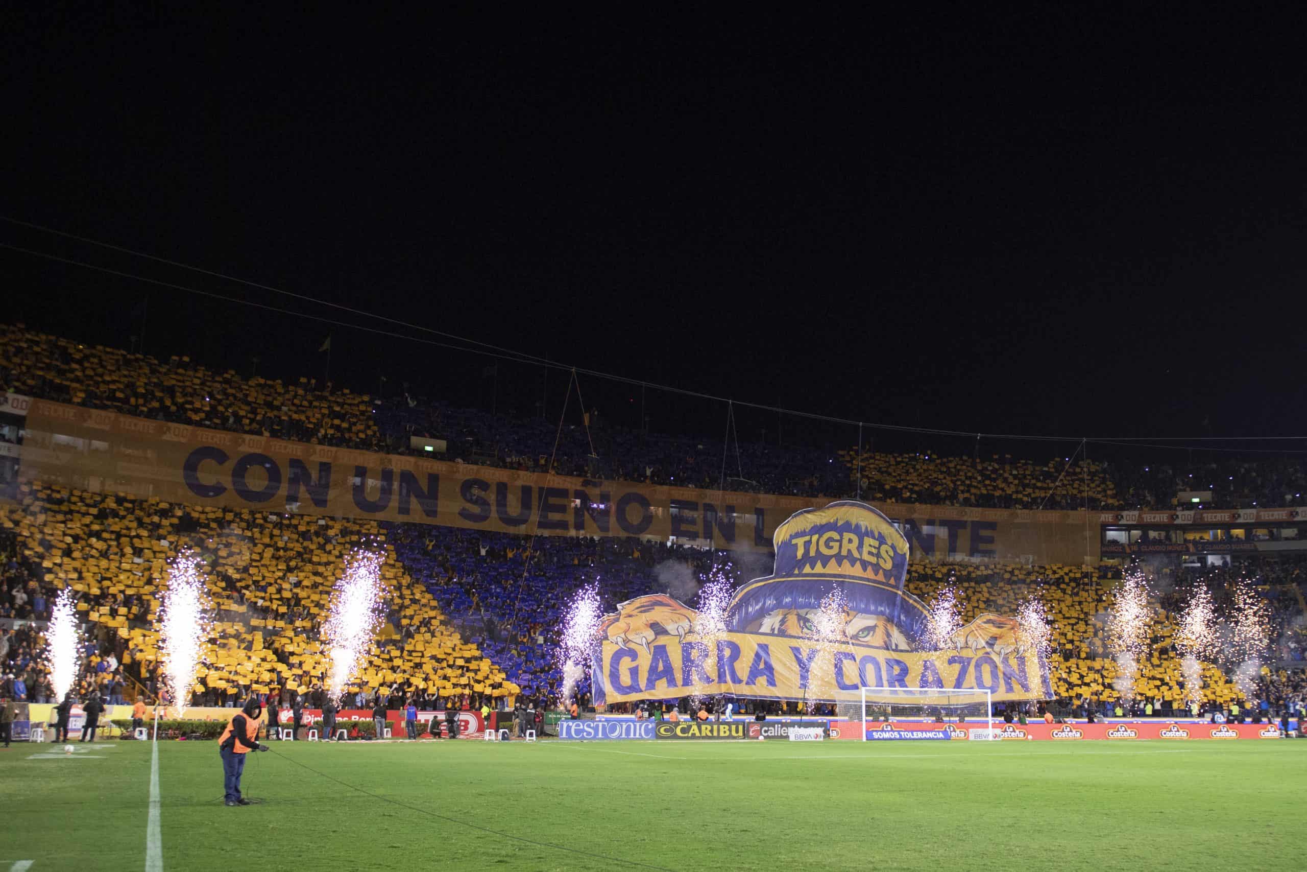 Tigres: ¿Por qué es el quinto grande?